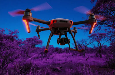 无人机热成像在执行野生动物观测任务