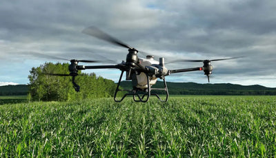 Thermal imaging drones are spraying pesticides in a targeted manner based on crop growth conditions.